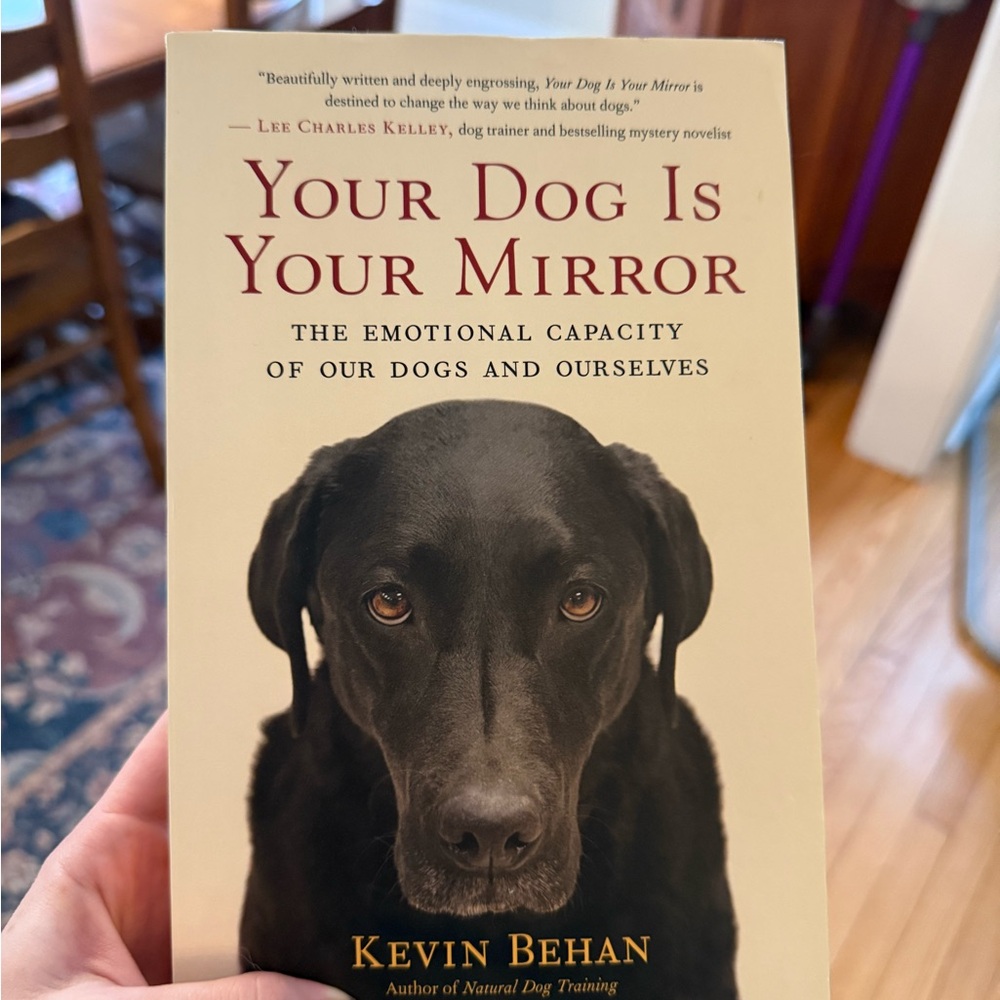 Your Dog Is Your Mirror: The Emotional Capacity of Our Dogs and Ourselves - Picture 2 of 6